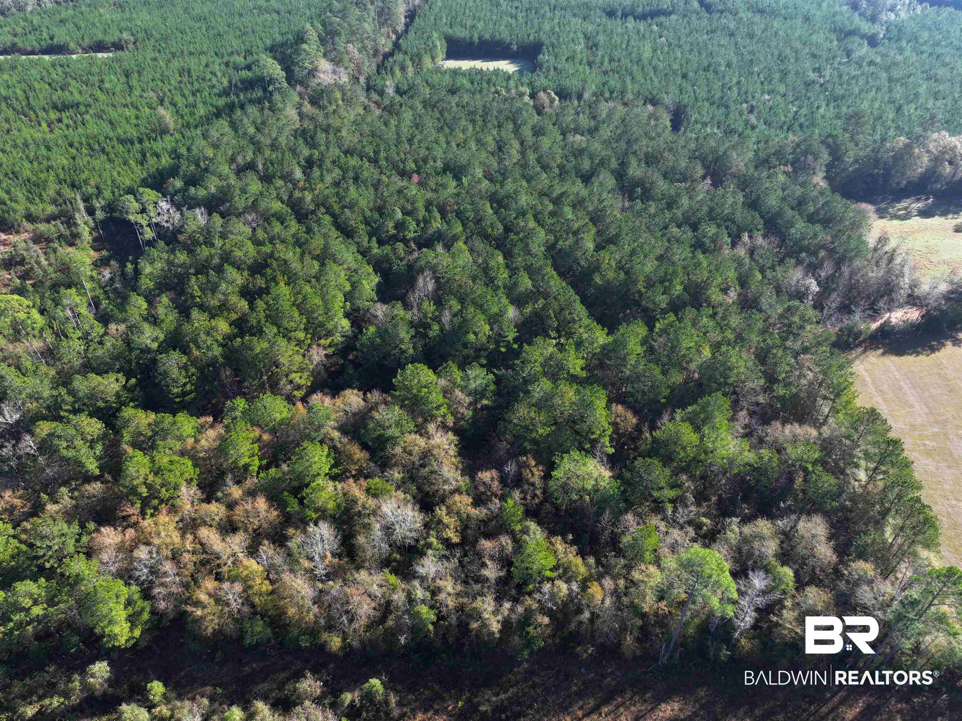 0 Judge Level Road Brewton, AL 36426 - Photo 4 of 9 Drone / aerial view