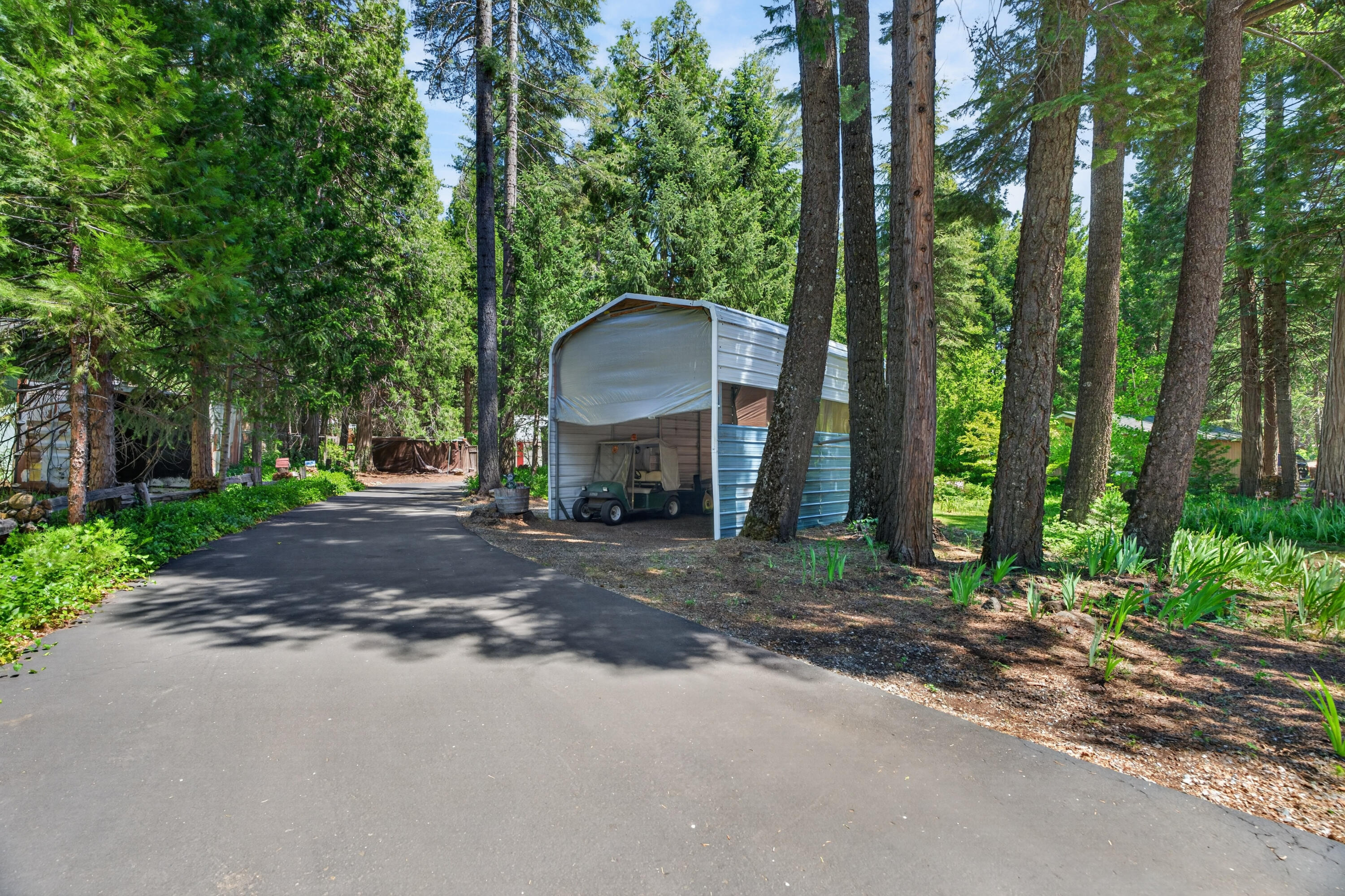 8015 Starlite Pines Road Shingletown, CA 96088 - Photo 38 of 38 a view of a house with a yard and tree s