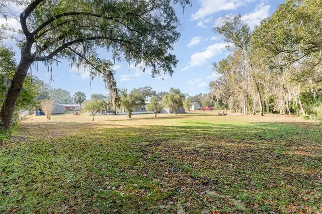 a view of green field with large trees