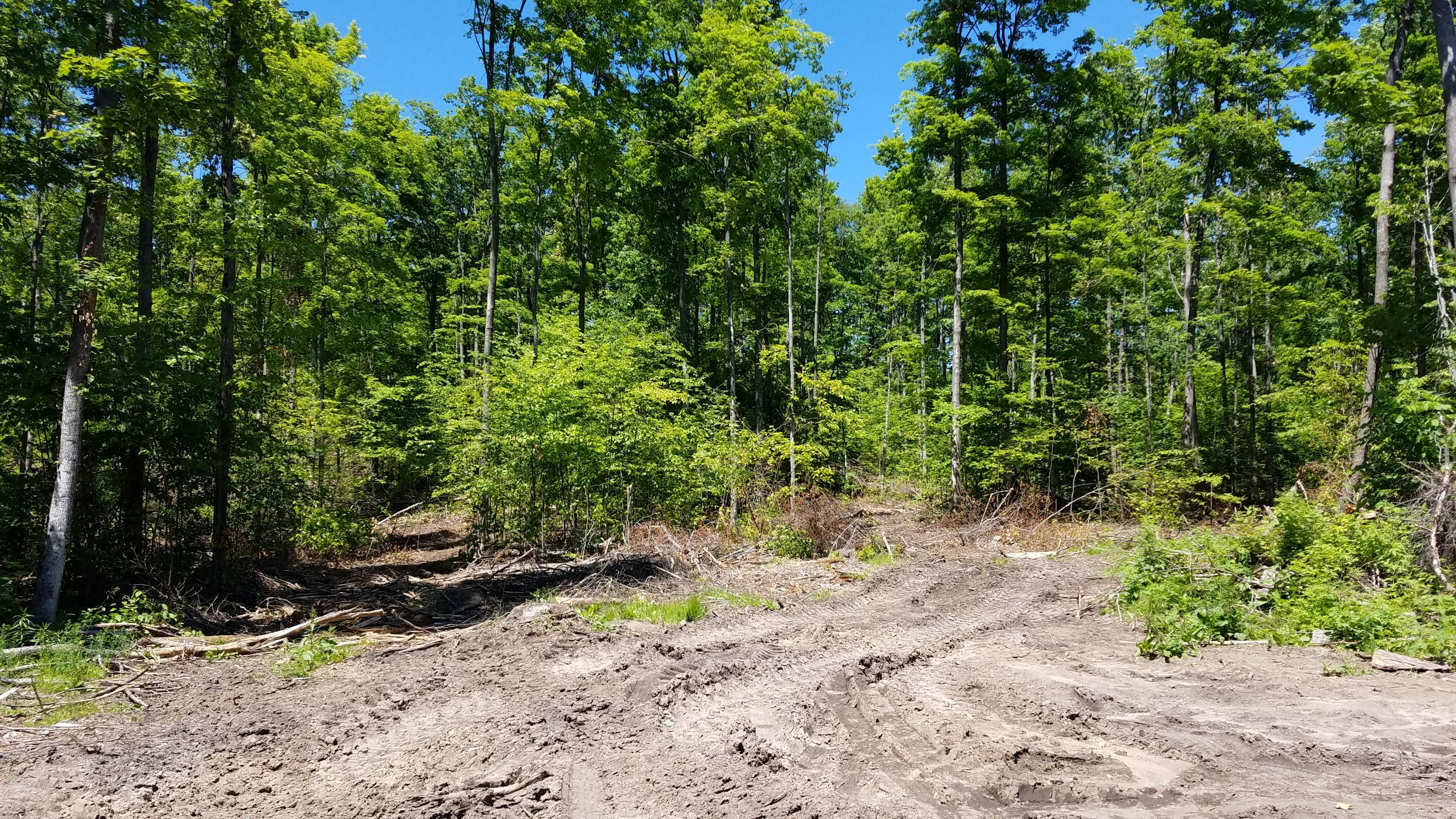 South Durkalic Road Pellston, MI 49769 - Photo 24 of 32