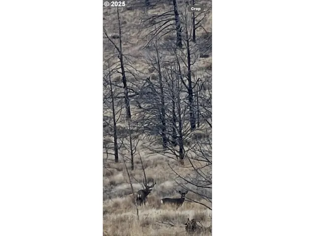 a view of a lake view