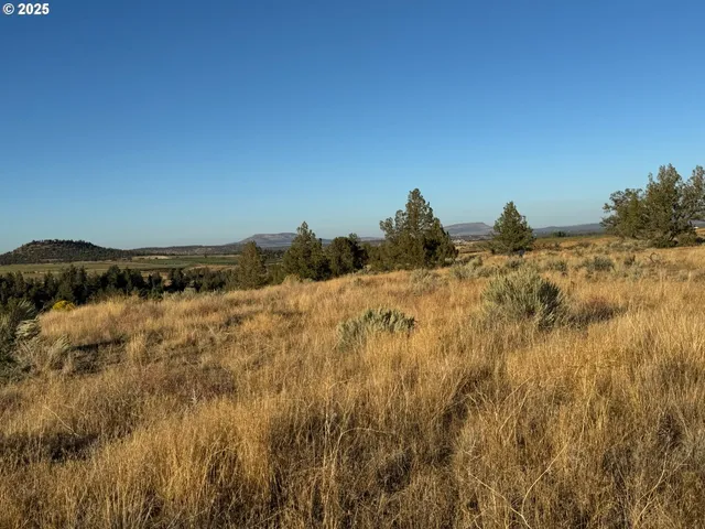 a picture of a bench in a room