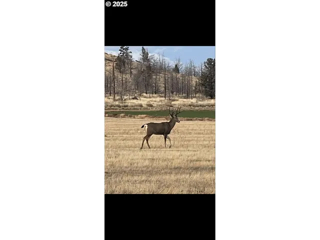 $679,900 | 69900 Northwest Lower Valley Drive, Terrebonne, OR 97760