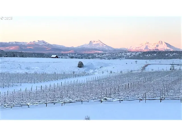 a black and white photo of a field