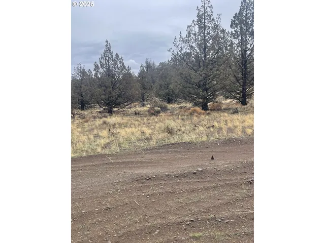 a view of a dry yard