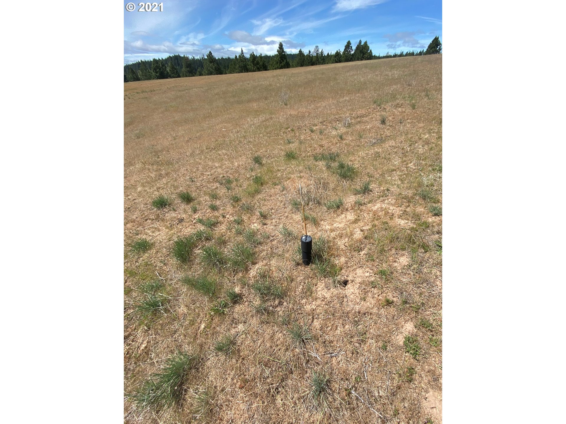 26 Mt View Road Lyle, WA 98635 - Photo 11 of 13 Gallery Image 11