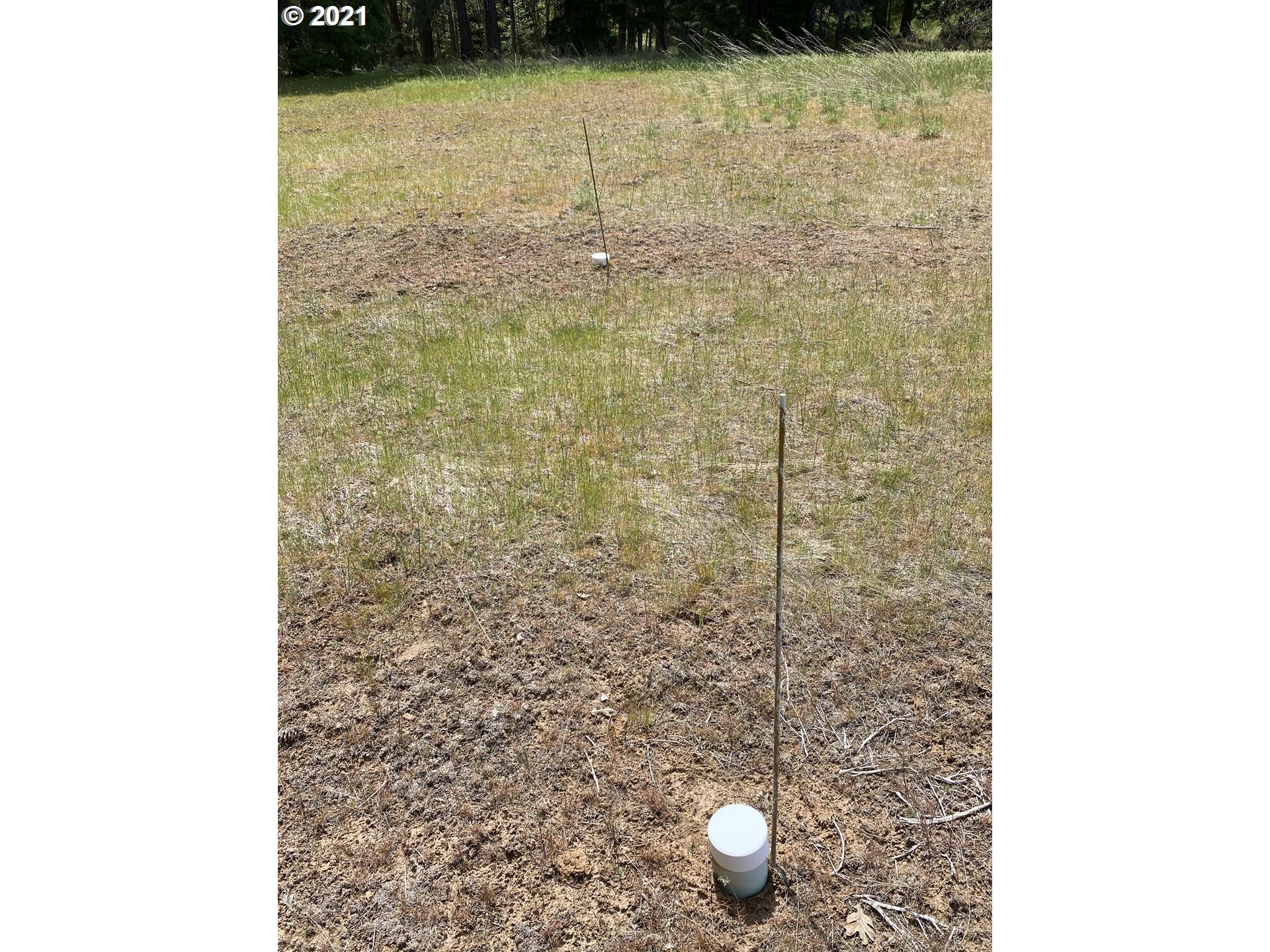 26 Mt View Road Lyle, WA 98635 - Photo 12 of 13 Gallery Image 12