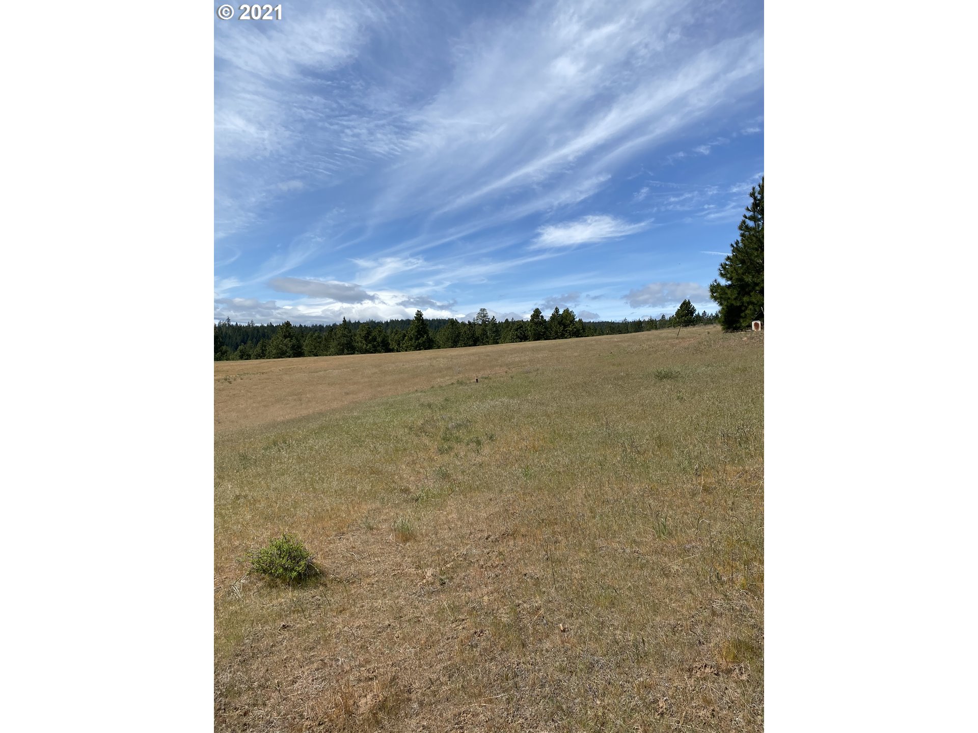 26 Mt View Road Lyle, WA 98635 - Photo 8 of 13 Gallery Image 8
