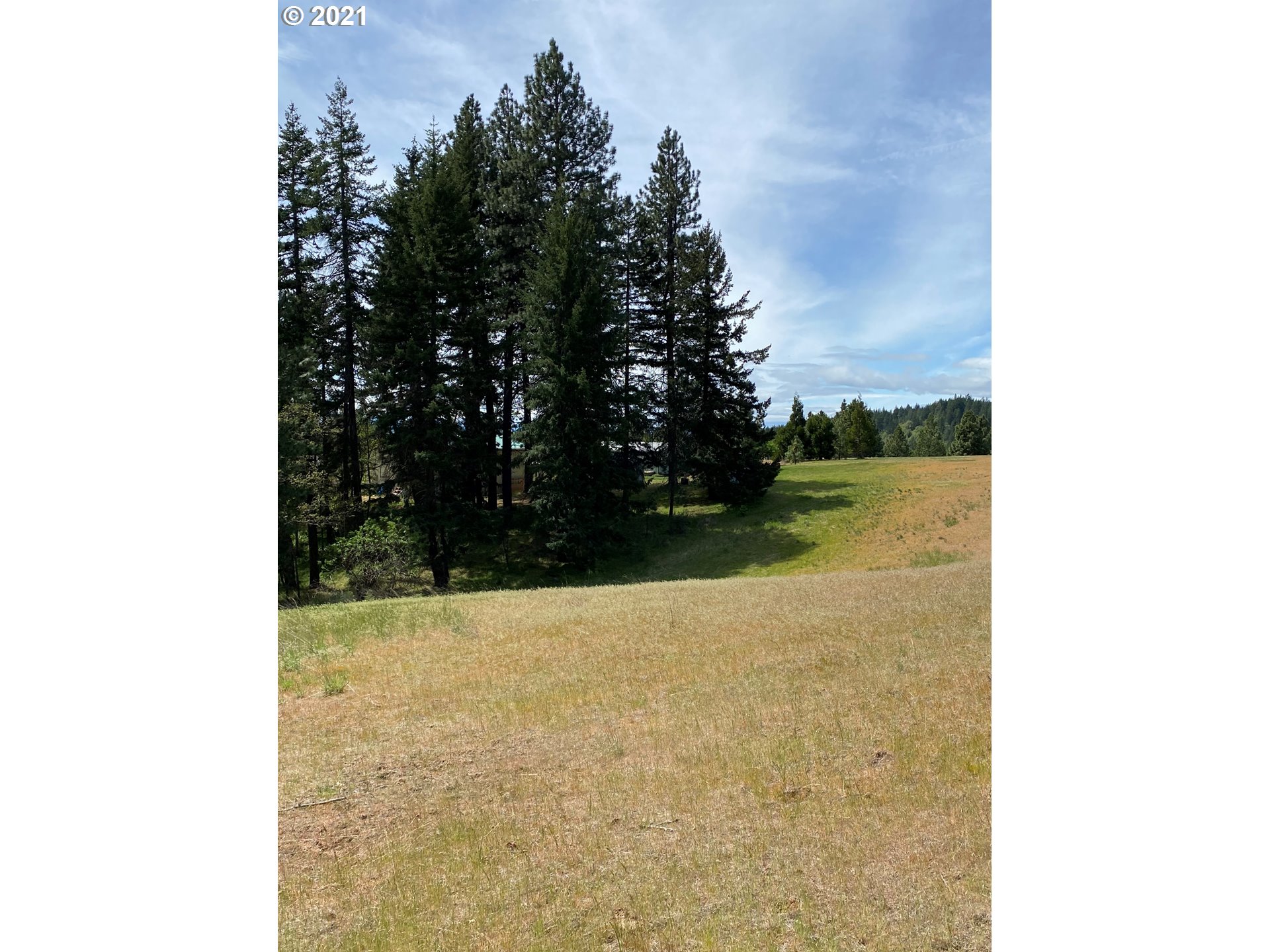 26 Mt View Road Lyle, WA 98635 - Photo 10 of 13 Gallery Image 10