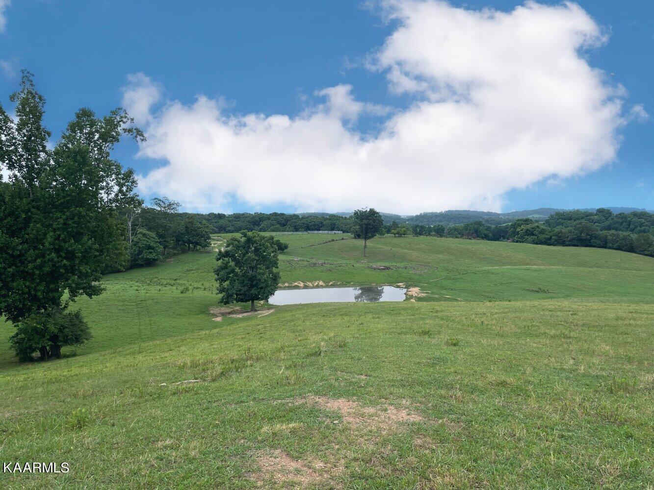 0 Pond Creek Road Philadelphia, TN 37846 - Photo 12 of 15 listing2342710photo565537