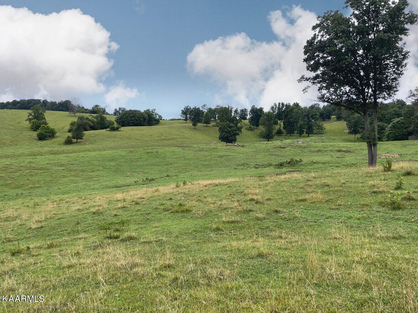 0 Pond Creek Road Philadelphia, TN 37846 - Photo 13 of 15 listing2342710photo459382