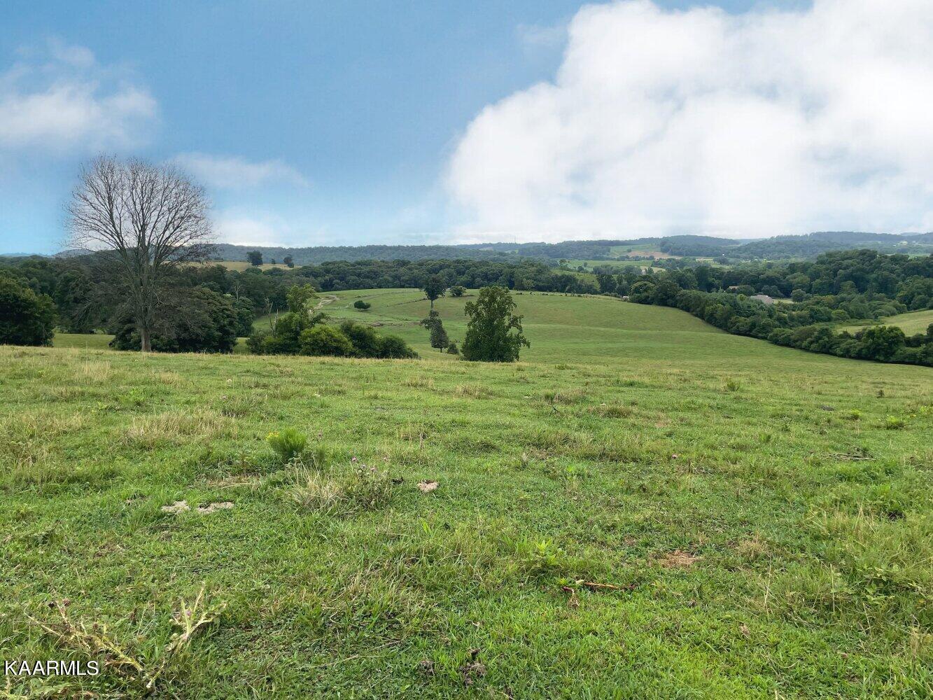 0 Pond Creek Road Philadelphia, TN 37846 - Photo 15 of 15 listing2342710photo229501