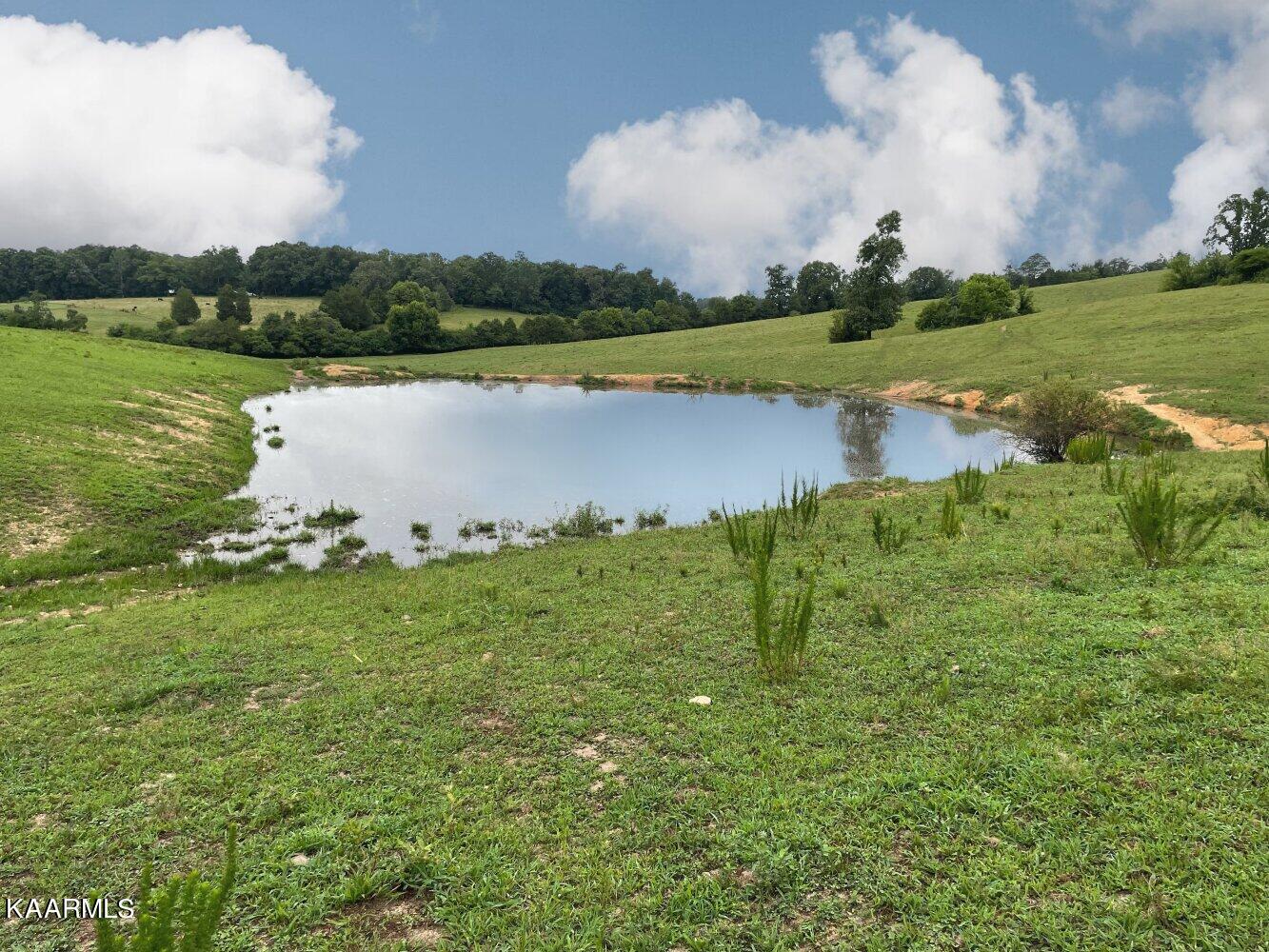 0 Pond Creek Road Philadelphia, TN 37846 - Photo 5 of 15 listing2342710photo215134