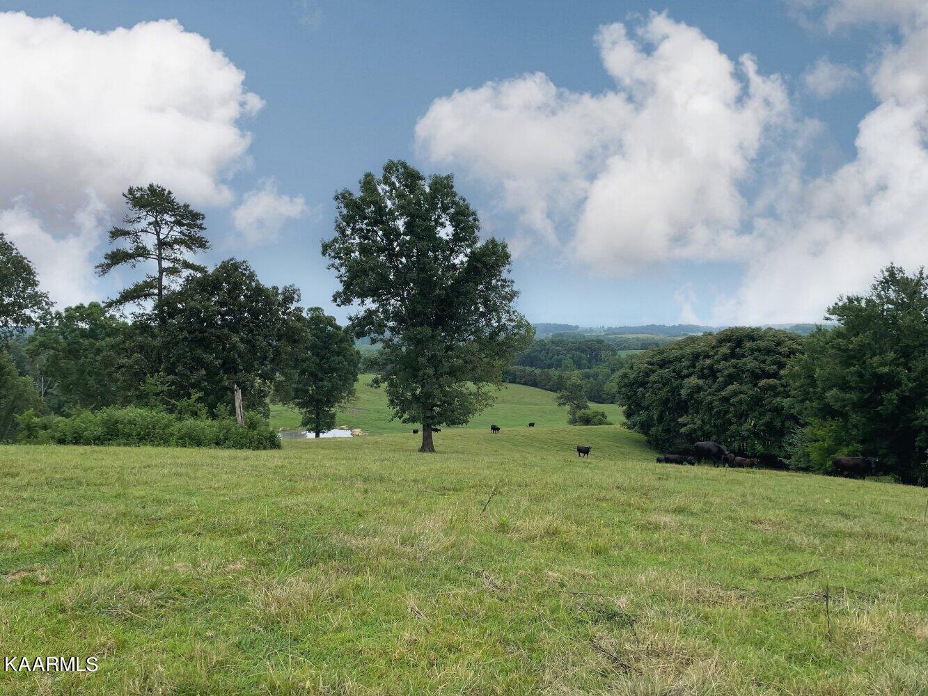 0 Pond Creek Road Philadelphia, TN 37846 - Photo 6 of 15 listing2342710photo791752