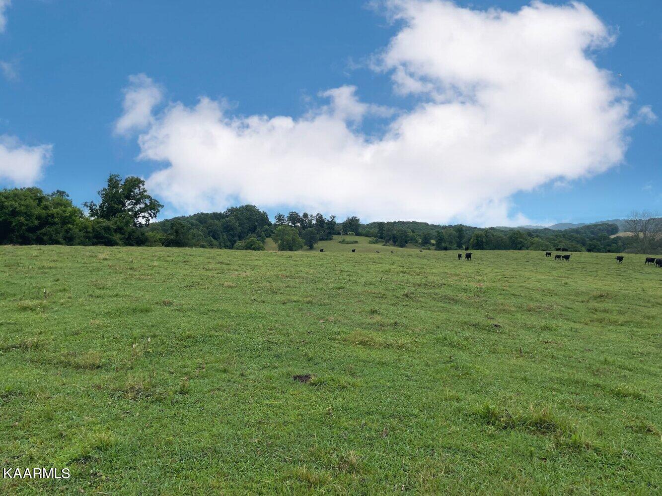 0 Pond Creek Road Philadelphia, TN 37846 - Photo 7 of 15 listing2342710photo188577
