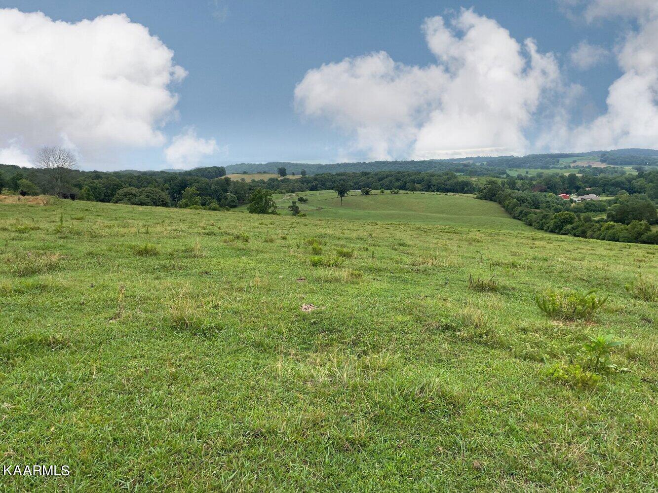 0 Pond Creek Road Philadelphia, TN 37846 - Photo 9 of 15 listing2342710photo183067