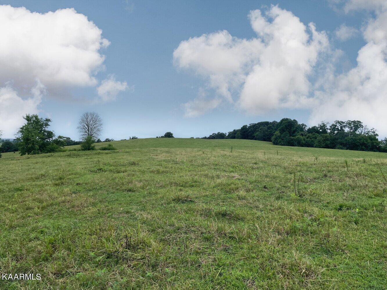 0 Pond Creek Road Philadelphia, TN 37846 - Photo 10 of 15 listing2342710photo42734256