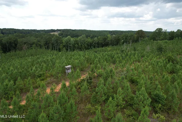 $561,800 | 428 County Road, Paris, MS 38949