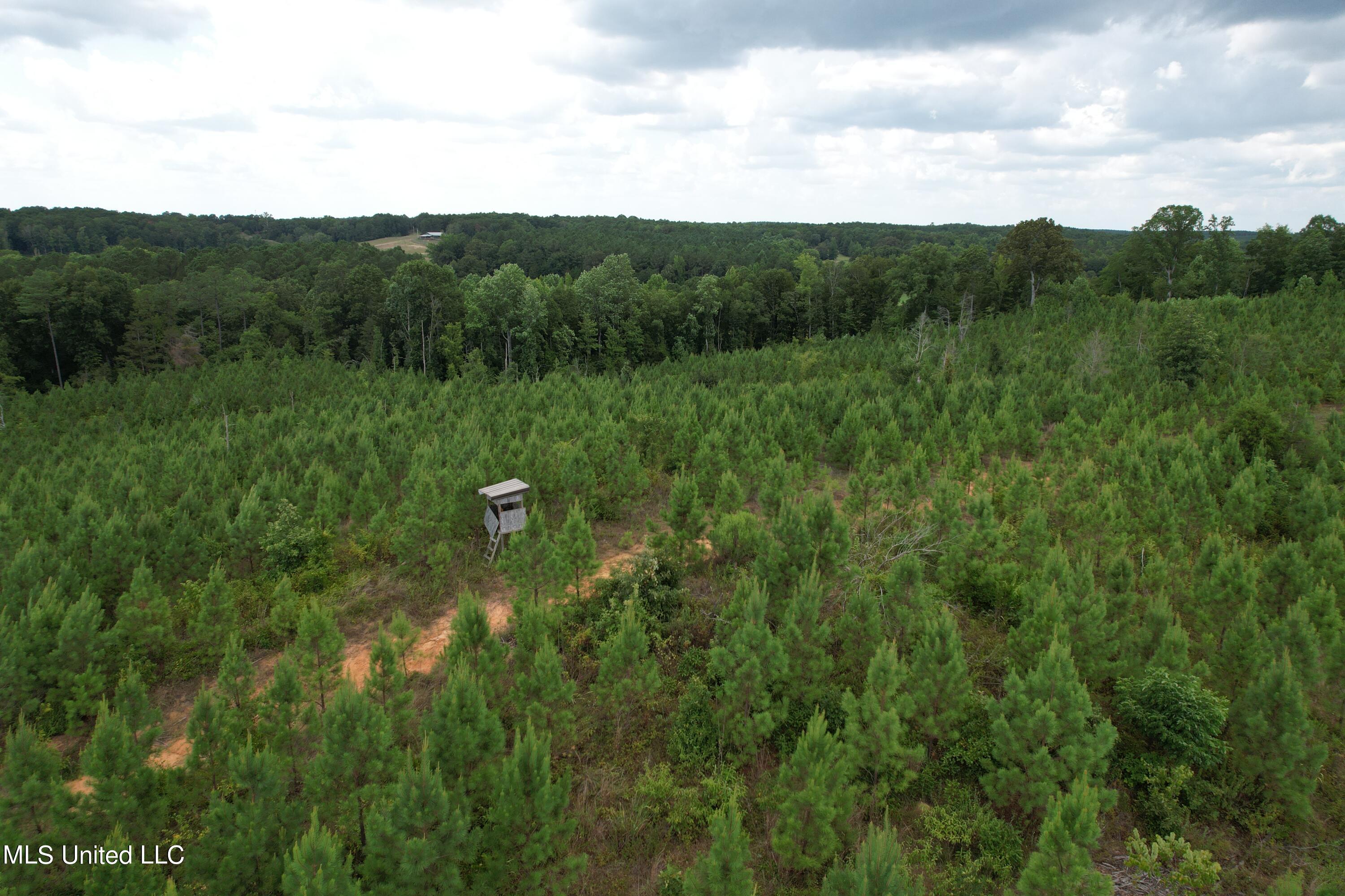 428 County Road Paris, MS 38949 - Photo 2 of 4 DJI_0672
