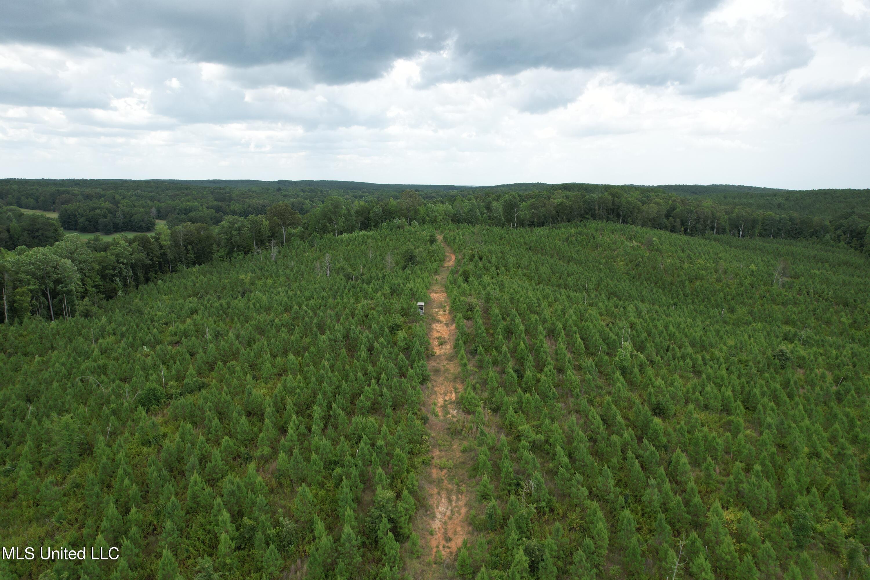 428 County Road Paris, MS 38949 - Photo 3 of 4 DJI_0671