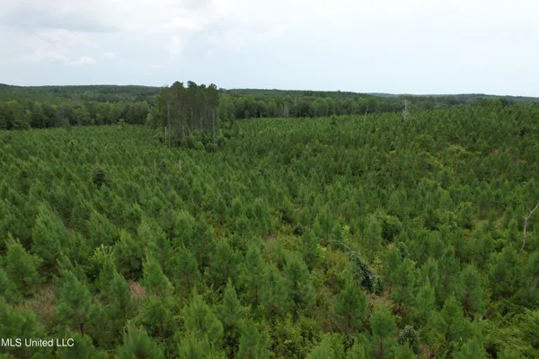 $561,800 | 428 County Road, Paris, MS 38949