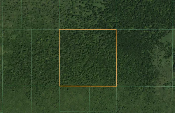 $90,000 | 49 Bloomfield Wi 54965, Pine River, WI 54965