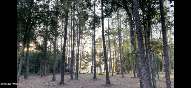 a view of outdoor space with lots of trees