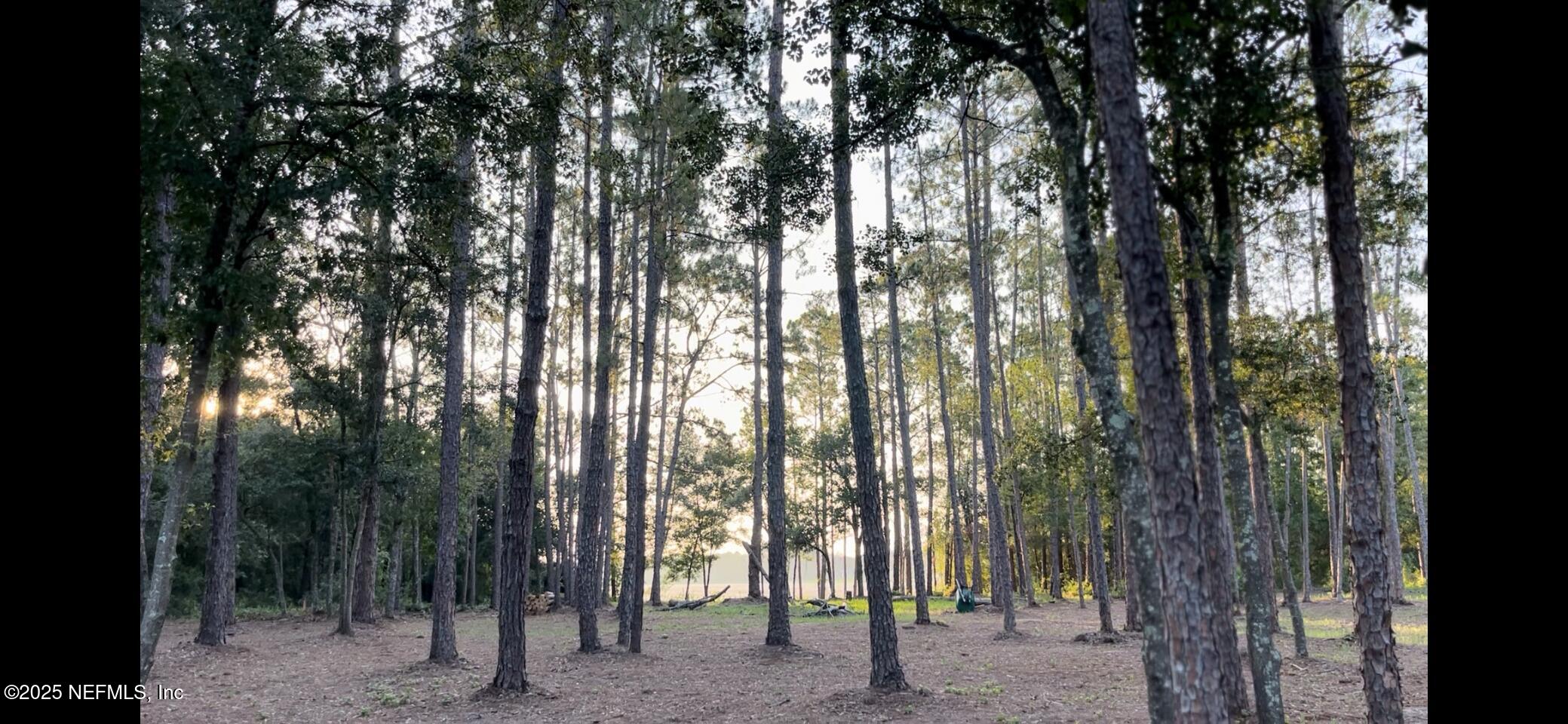 a view of outdoor space with lots of trees