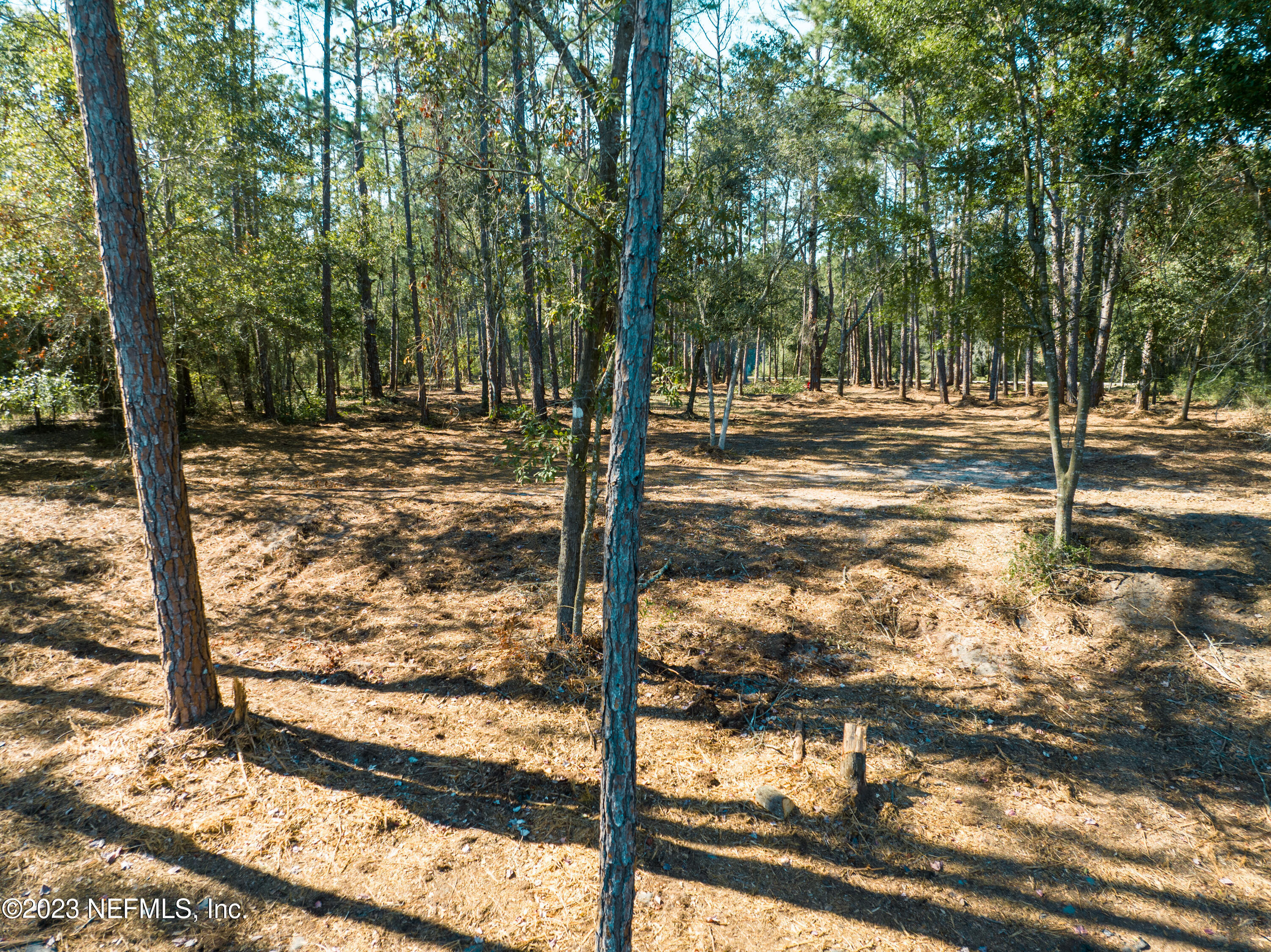 5495 Laredo Street Keystone Heights, FL 32656 - Photo 11 of 22 a view of a yard with trees