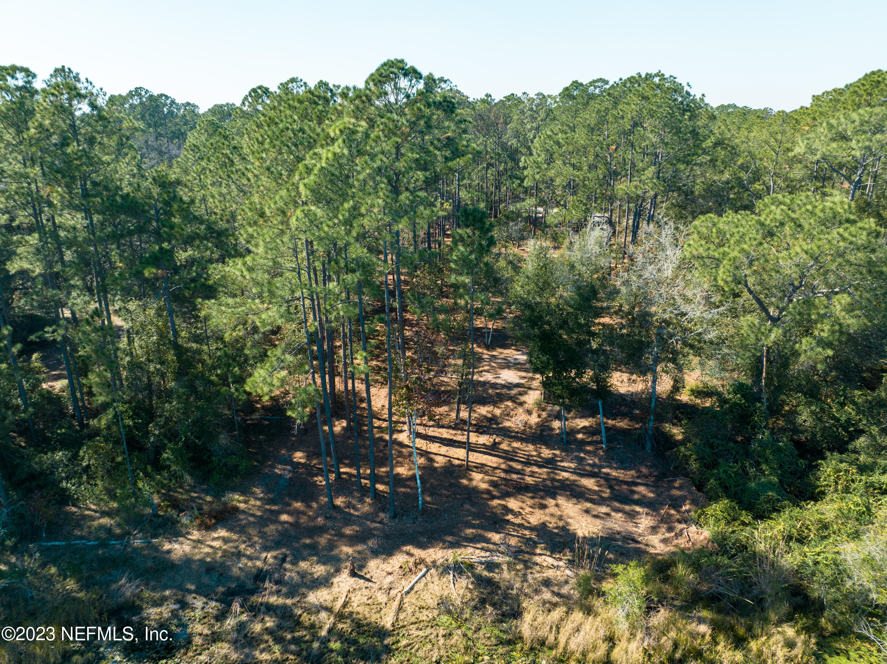 5495 Laredo Street Keystone Heights, FL 32656 - Photo 19 of 22 a view of tree