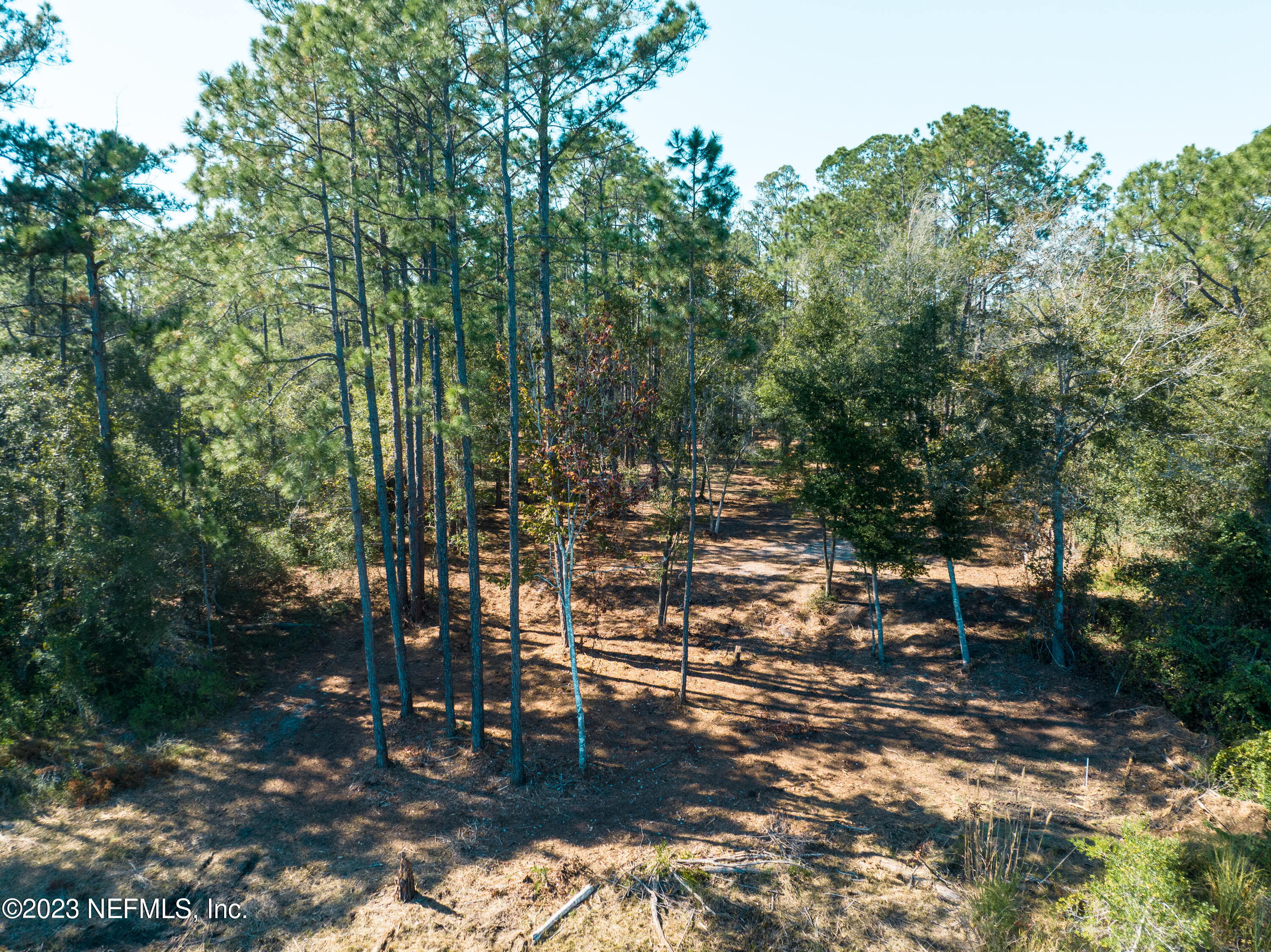 5495 Laredo Street Keystone Heights, FL 32656 - Photo 20 of 22 a view of outdoor space