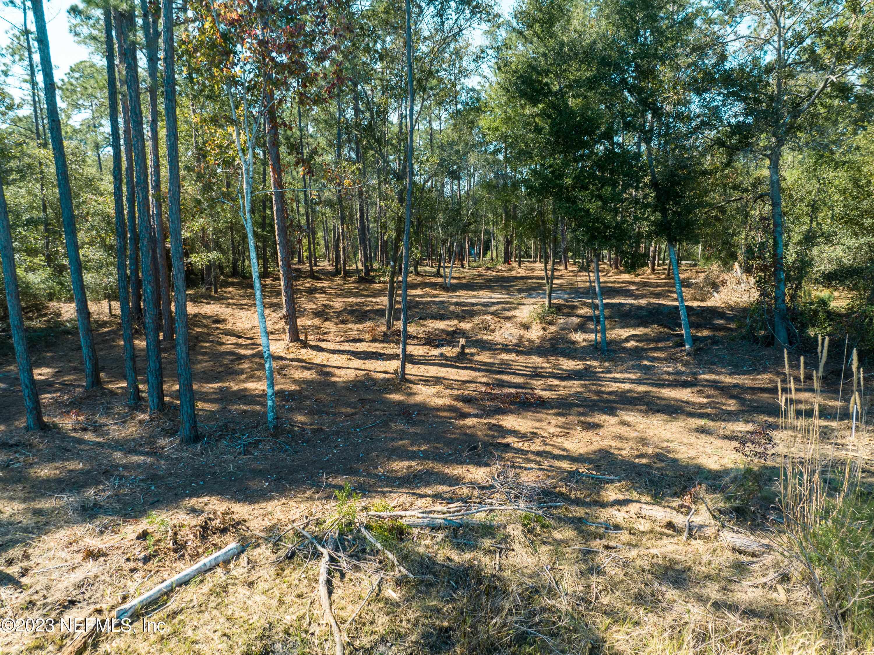 5495 Laredo Street Keystone Heights, FL 32656 - Photo 22 of 22 a backyard of a house with lots of green space