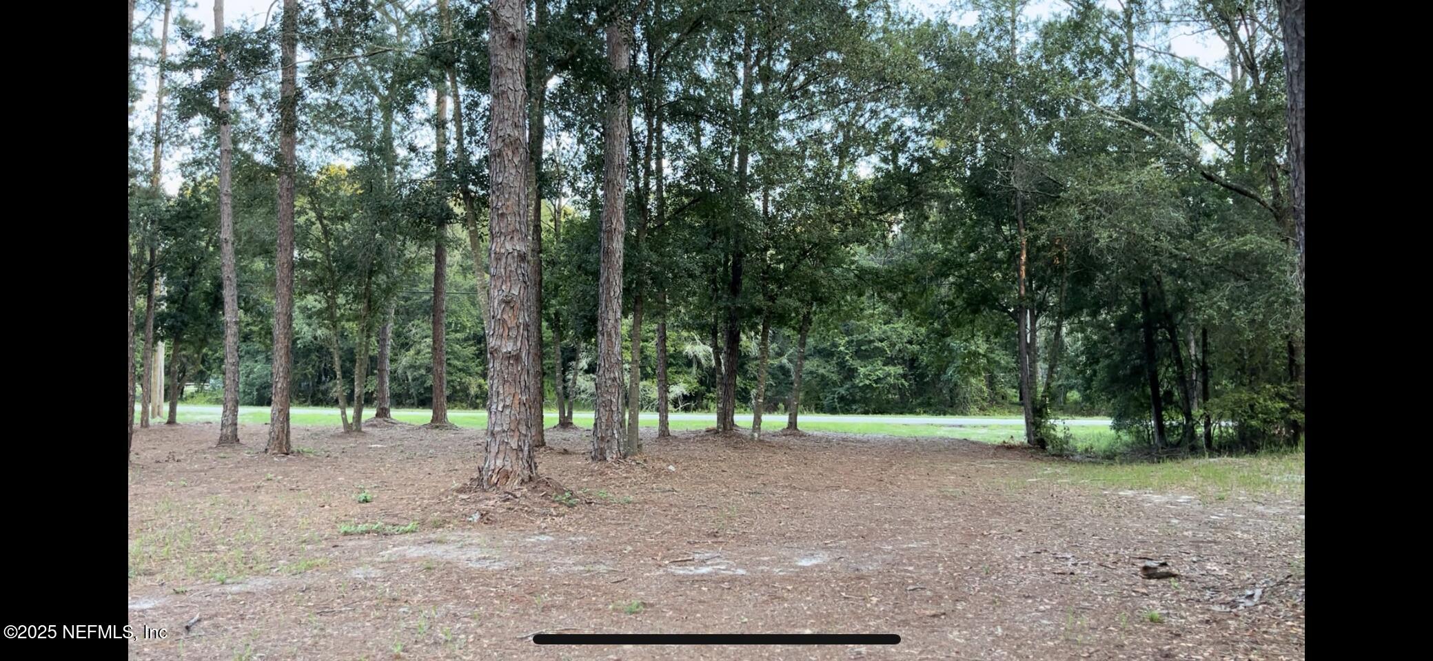 5495 Laredo Street Keystone Heights, FL 32656 - Photo 6 of 22 a view of outdoor space and trees