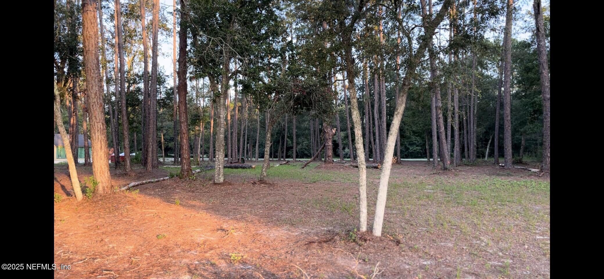 5495 Laredo Street Keystone Heights, FL 32656 - Photo 7 of 22 a backyard of a house with lots of green space