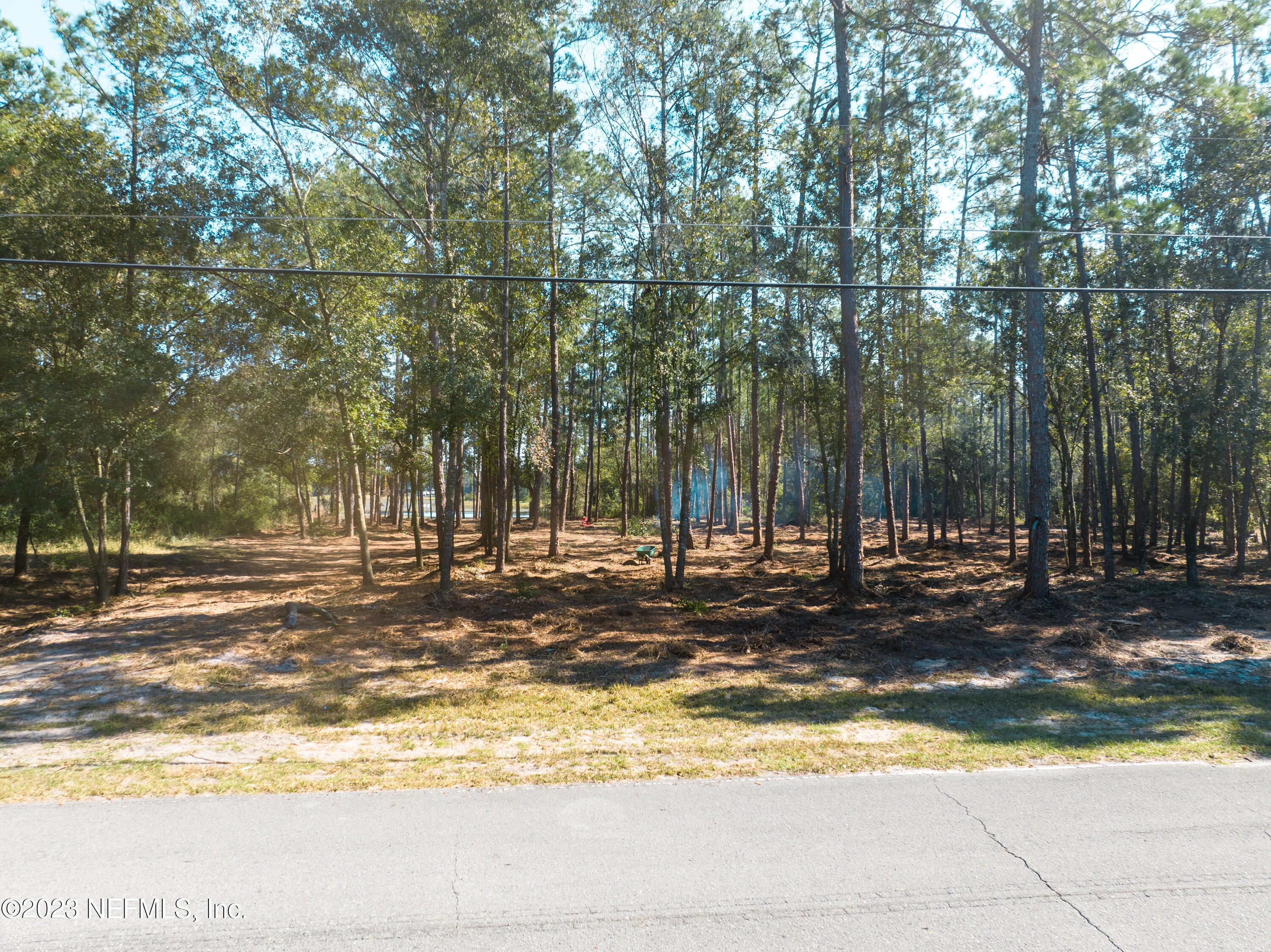 5495 Laredo Street Keystone Heights, FL 32656 - Photo 8 of 22 a view of a yard with a large tree