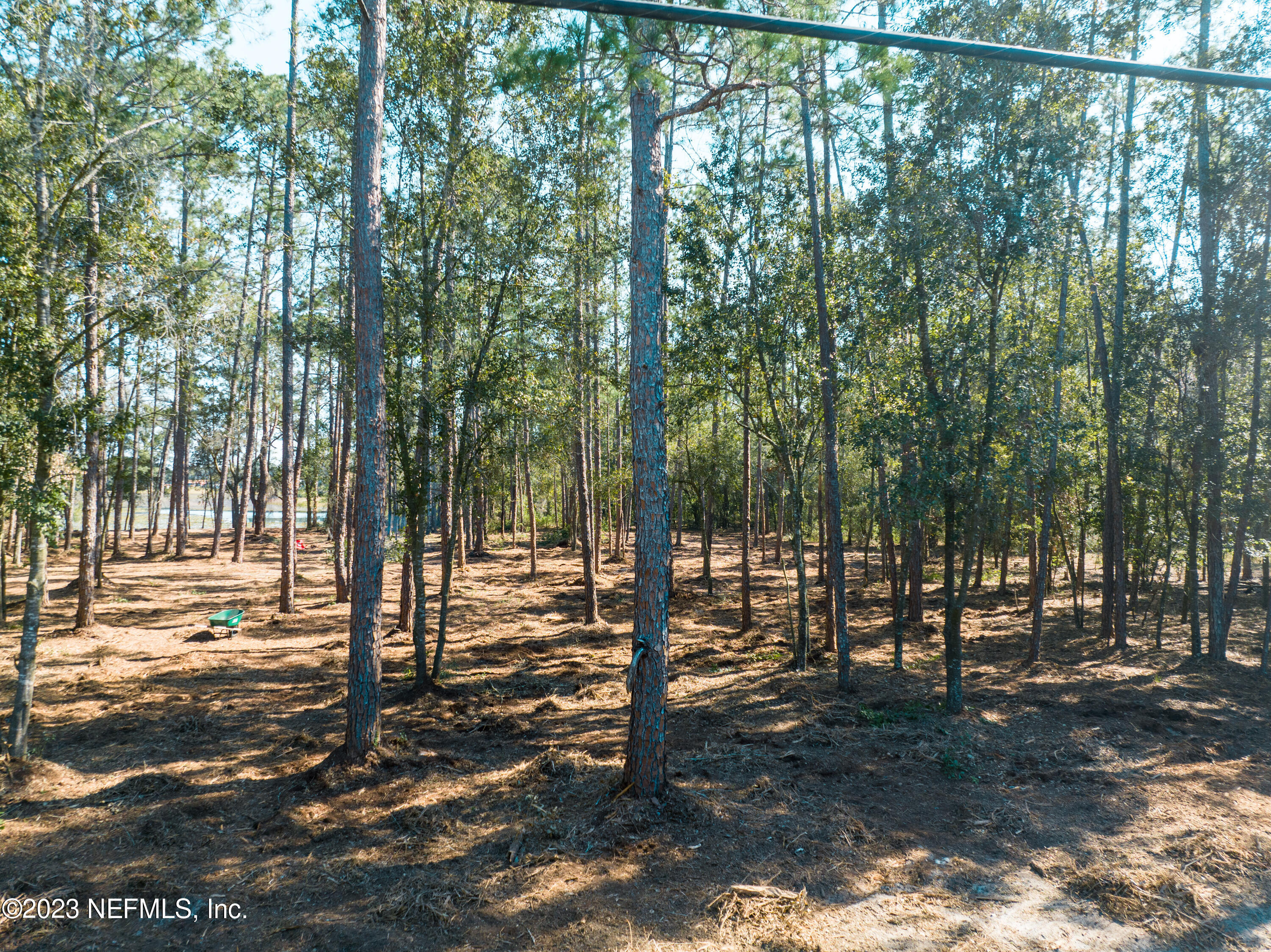5495 Laredo Street Keystone Heights, FL 32656 - Photo 10 of 22 a view of outdoor space with lots of trees