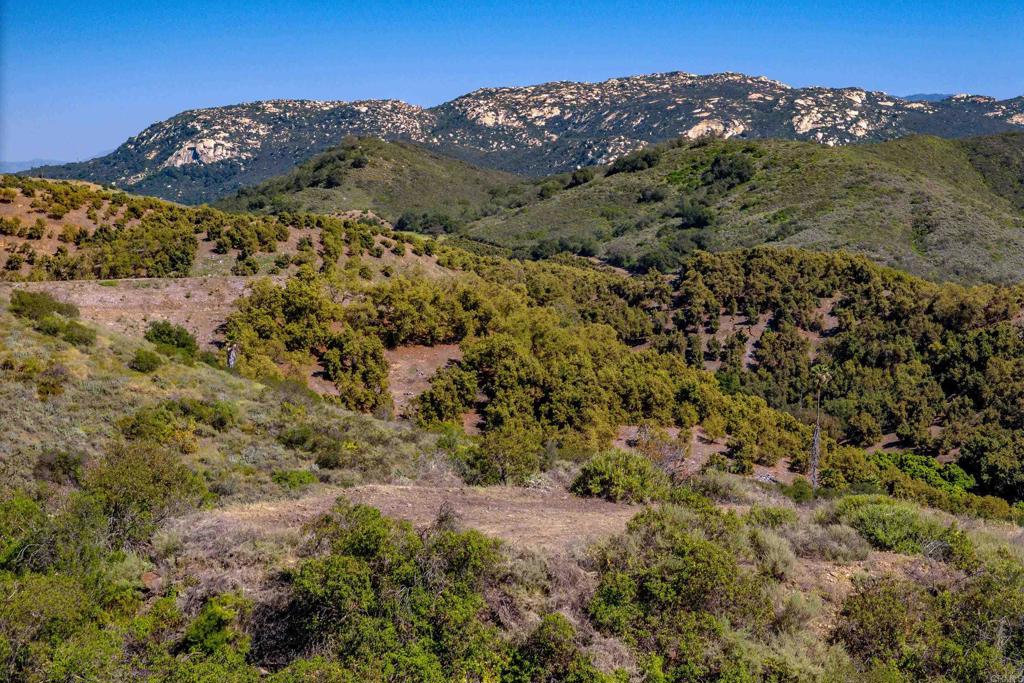 9-10 Calle Cresta Road Temecula, CA 92590 - Photo 20 of 21 a view of a mountain in the distance in a field