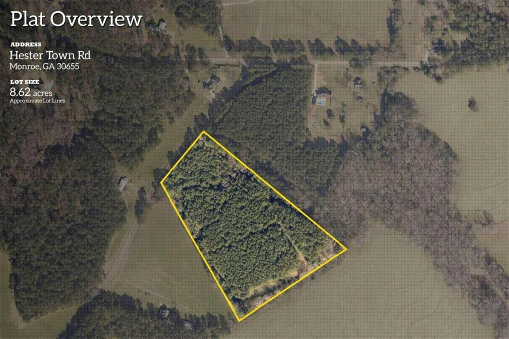 Tract6 Hester Town Road Rutledge, GA 30663 - Photo 1 of 1 view of a dry ground with lots of trees