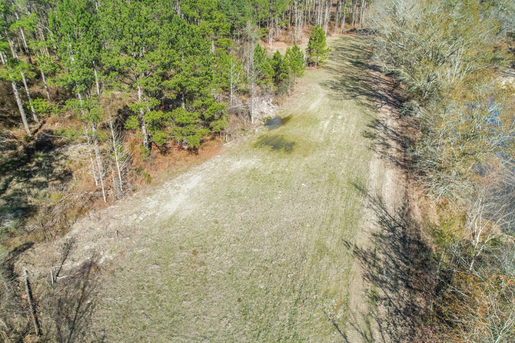 2050 St Paul Road Hazlehurst, MS 39083 - Photo 27 of 36 Photo 27