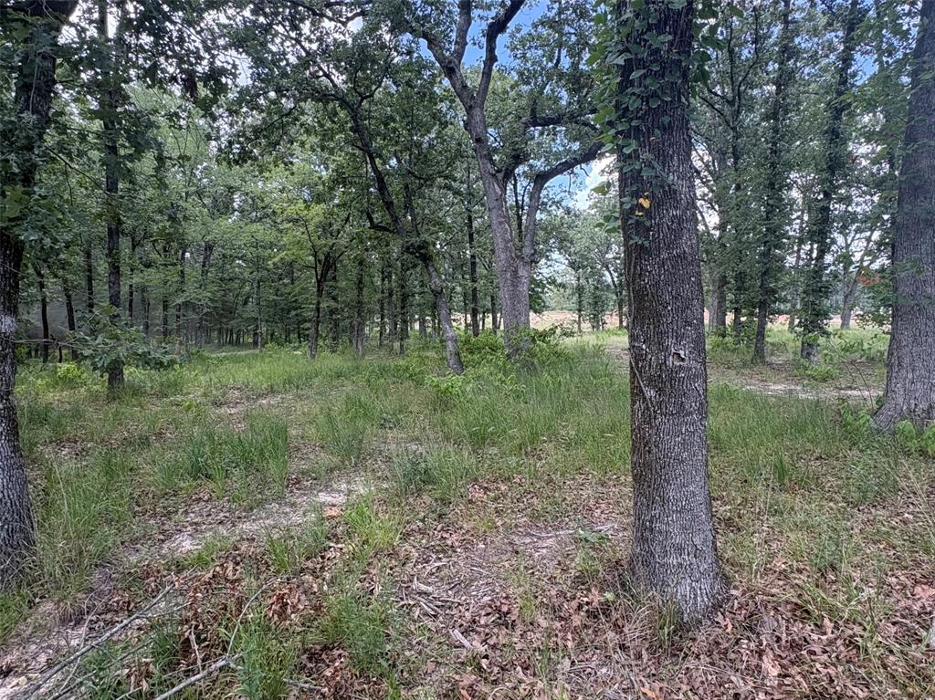 5948 Rd Yantis Tx 75765 Road, Unit 23 Yantis, TX 75497 - Photo 3 of 11