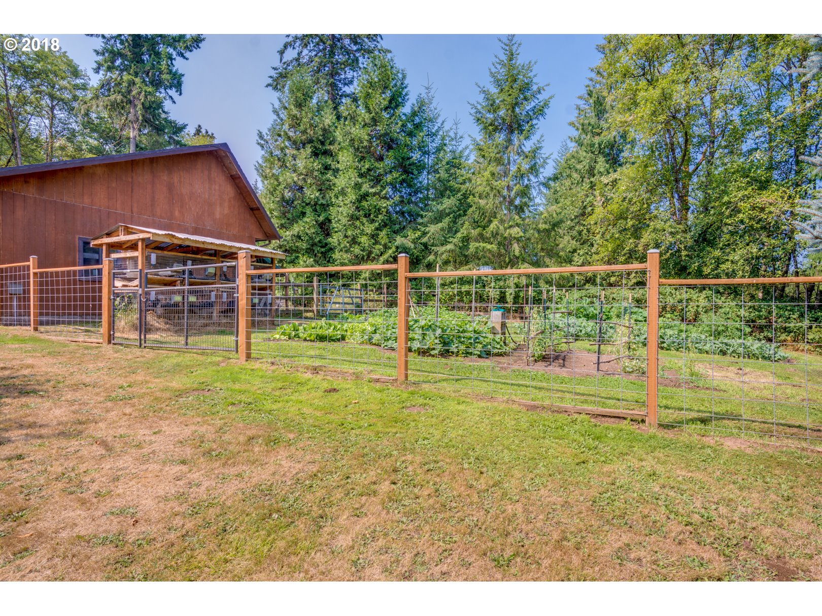 66794 Doetsch Road Deer Island, OR 97054 - Photo 30 of 32 a view of a backyard