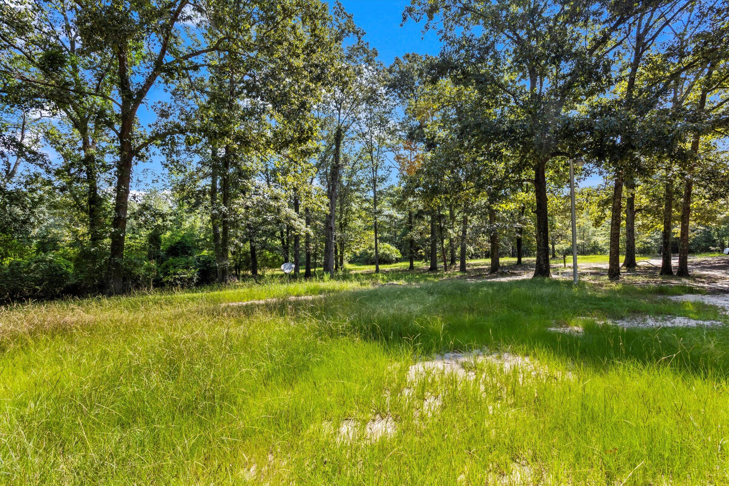 217 Toole Plantation Road Beech Island, SC 29842 - Photo 18 of 20 Gallery Image 18