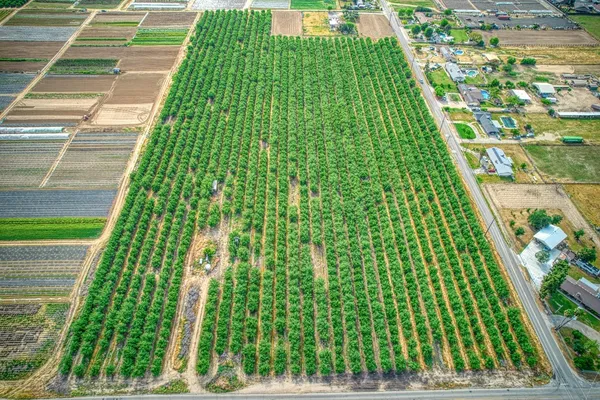 a view of plant