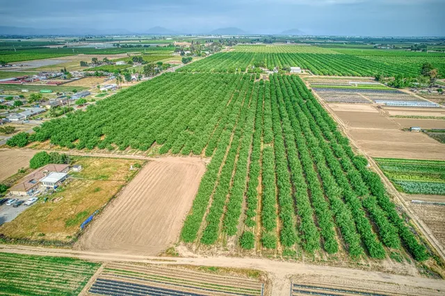 a view of an outdoor space