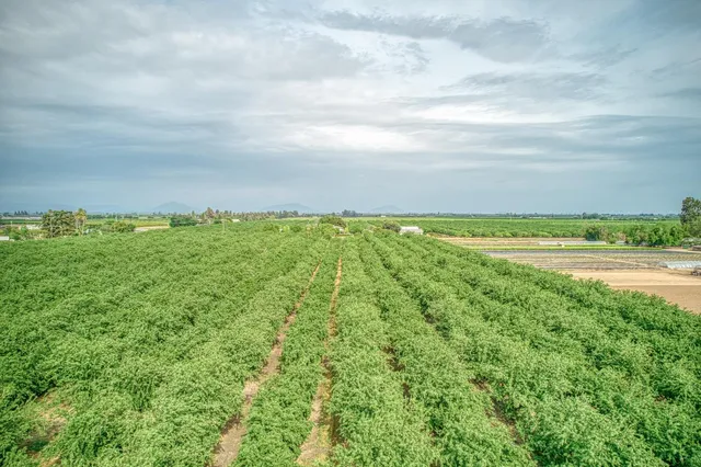 a sunset view with beach