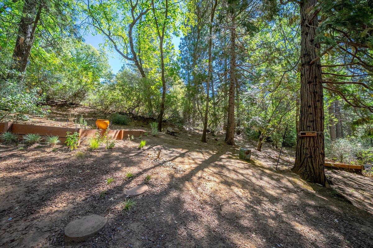 2939 Letitia Avenue Placerville, CA 95667 - Photo 43 of 59