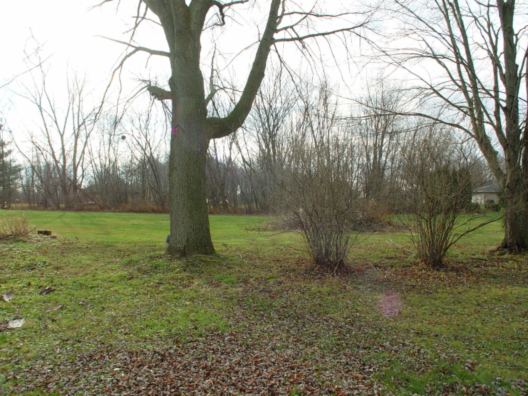 3150 West Shawnee Road Bridgman, MI 49106 - Photo 15 of 15 DSC02791