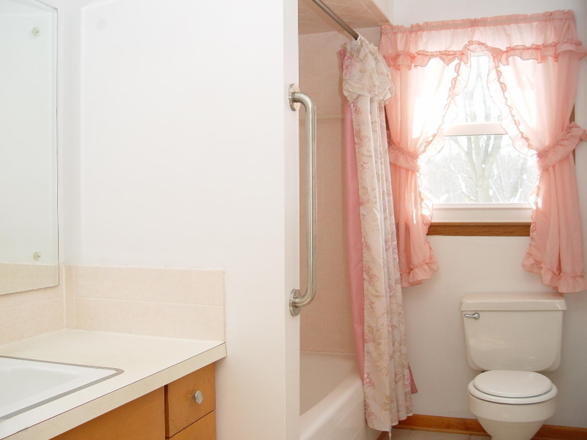 3150 West Shawnee Road Bridgman, MI 49106 - Photo 8 of 15 DSC02812