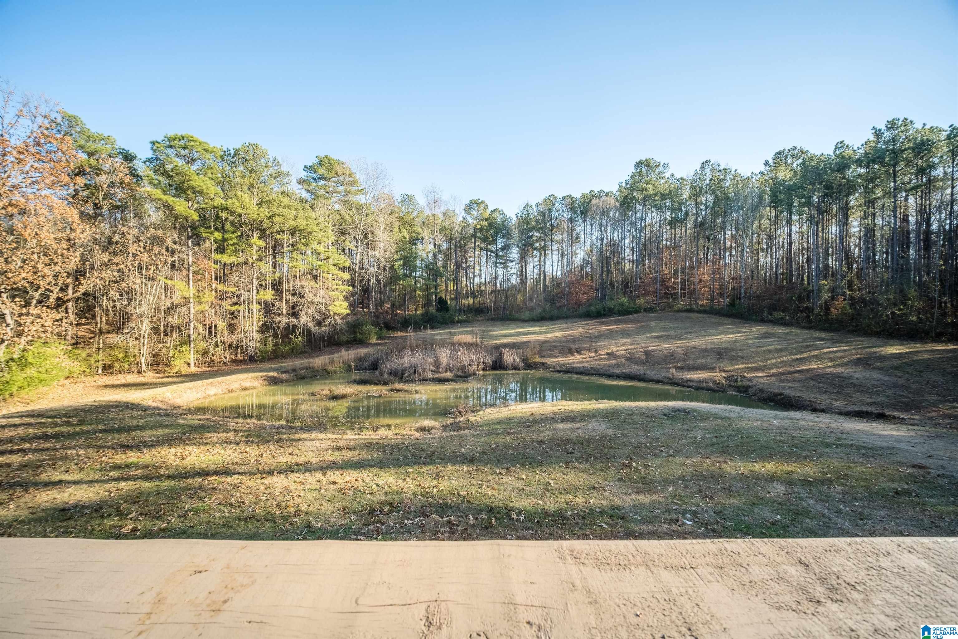7926 Bluff Ridge Road Bessemer, AL 35022 - Photo 7 of 34