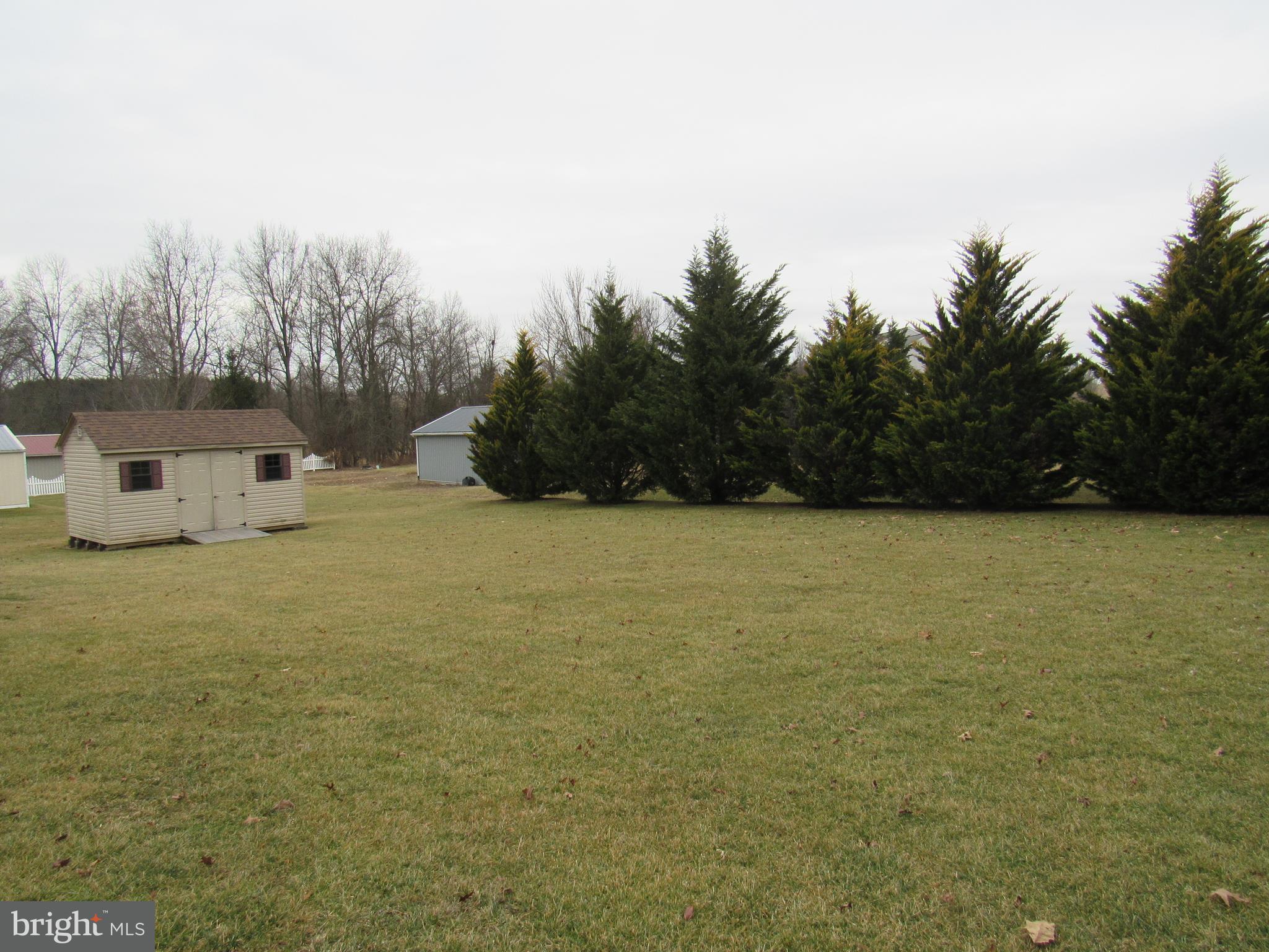630 Brough Road Abbottstown, PA 17301 - Photo 23 of 35 Back yard complete with storage shed
